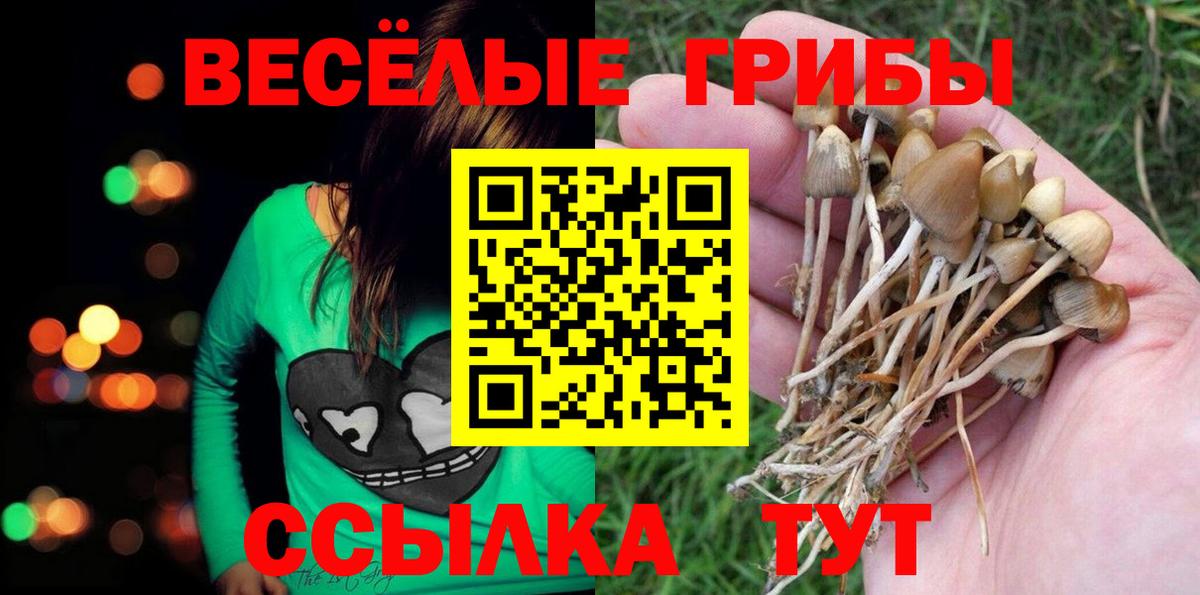 Псилоцибиновые грибы MAGIC MUSHROOMS  Вход с VPN  Псилоцибиновые грибы MAGIC MUSHROOMS  Ирбит 